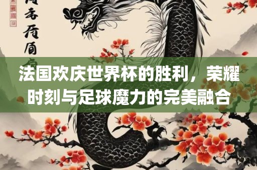 法国欢庆世界杯的胜利，荣耀时刻与足球魔力的完美融合