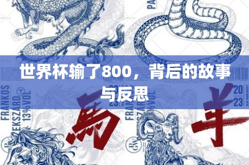 世界杯输了800，背后的故事与反思