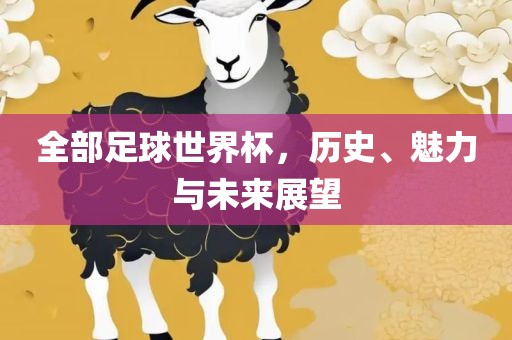 全部足球世界杯，历史、魅力与未来展望