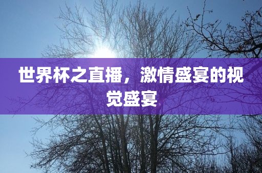 世界杯之直播，激情盛宴的视觉盛宴