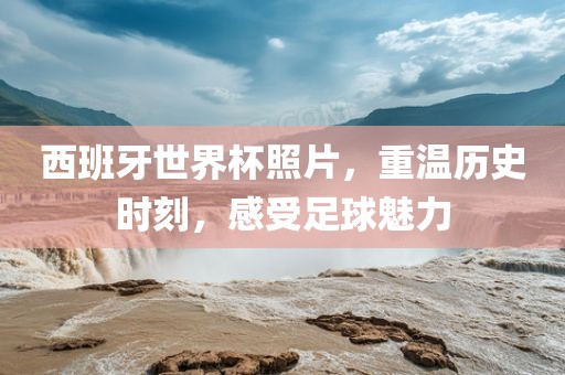 西班牙世界杯照片，重温历史时刻，感受足球魅力漯河市盈旭机械设备有限公司