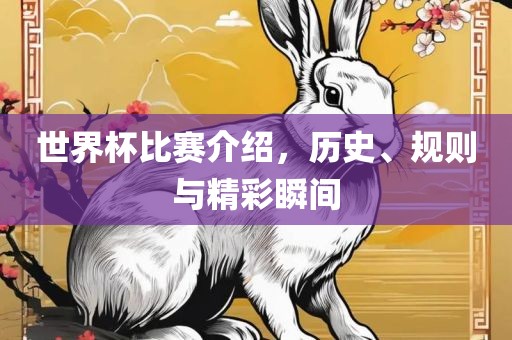 世界杯比赛介绍，历史、规则与精彩瞬间漯河市盈旭机械设备有限公司