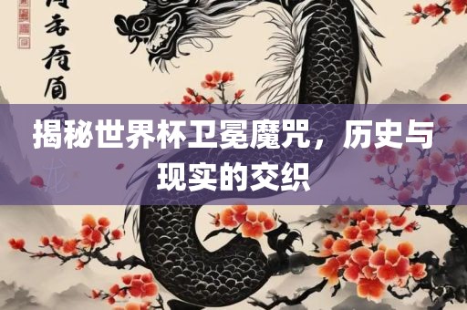 揭秘世界杯卫冕魔咒，历史与现实的交织漯河市盈旭机械设备有限公司