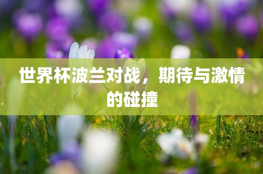 世界杯波兰对战，期待与激情的碰撞