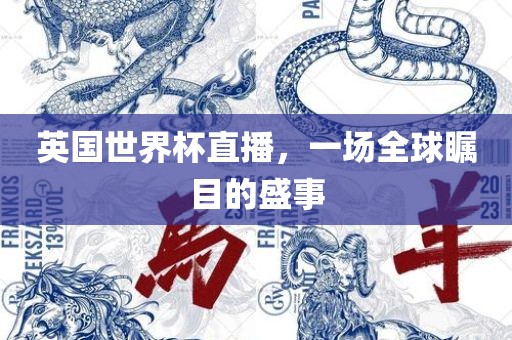 英国世界杯直播，一场全球瞩目的盛事漯河市盈旭机械设备有限公司