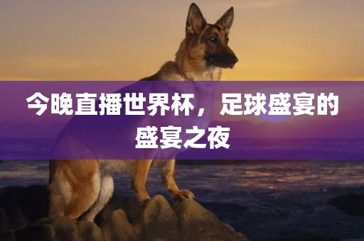 今漯河市盈旭机械设备有限公司晚直播世界杯，足球盛宴的盛宴之夜