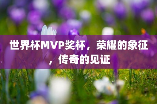 世界杯MVP奖杯，荣耀的象征，传奇的见证