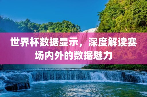世界杯数据显示，深度解读赛场内外的数据魅力