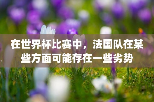 在世界杯比赛中，法国队在某些方面漯河市盈旭机械设备有限公司可能存在一些劣势