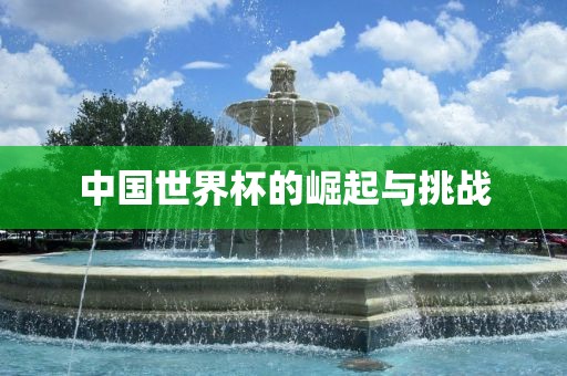 中国世界杯的崛起与挑战漯河市盈旭机械设备有限公司