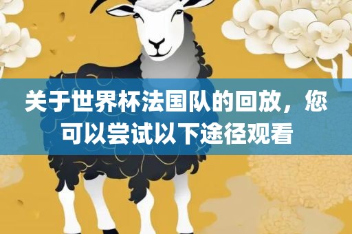 关于世界杯法国队的回放，您可以尝试以下途径观看