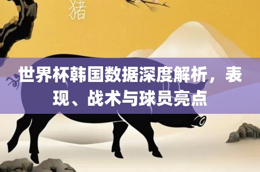 世界杯韩国数据深度解析，表现、战术与球员亮点漯河市盈旭机械设备有限公司