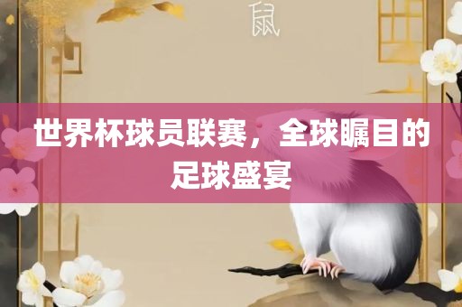 世界杯球员联赛，全球瞩目的足球盛宴