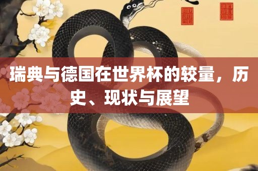 瑞典与德国在世界杯的较量，历史、现状与展望漯河市盈旭机械设备有限公司