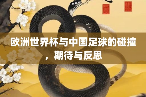 欧洲世界杯与中国足球的碰撞，期待与反思