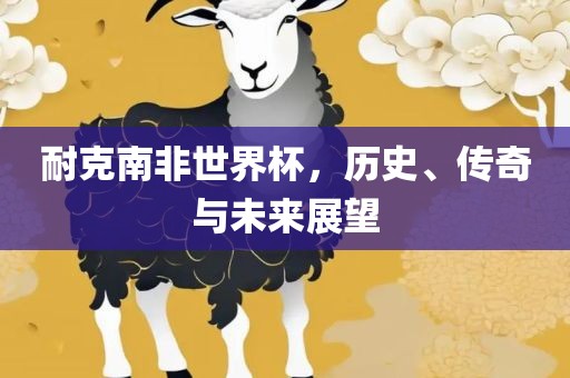 耐克南非世界杯，历史、传奇与未来展望漯河市盈旭机械设备有限公司