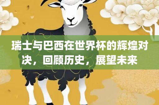 瑞士与巴西在世界杯的辉煌对决，回顾历史，展望未来漯河市盈旭机械设备有限公司
