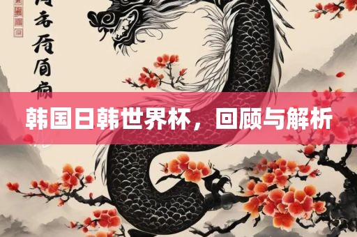 韩国日韩世界杯，回顾与解析
