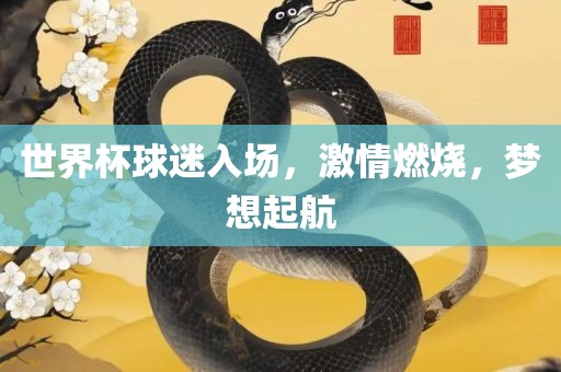世界杯球迷入场，激情燃烧，梦想起航