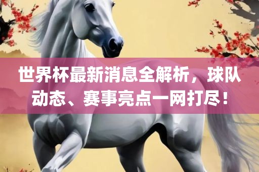 世界杯最新消息全解析，球队动态、赛事亮点一网打尽！
