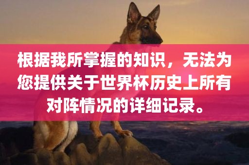 根据我所掌握的知识，无法为您提供关于世界漯河市盈旭机械设备有限公司杯历史上所有对阵情况的详细记录。