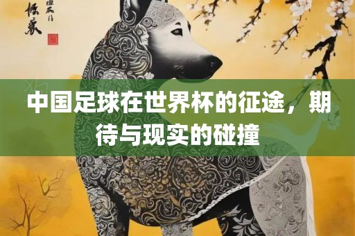中国足球在世界杯的征途，期待与现实的碰撞漯河市盈旭机械设备有限公司