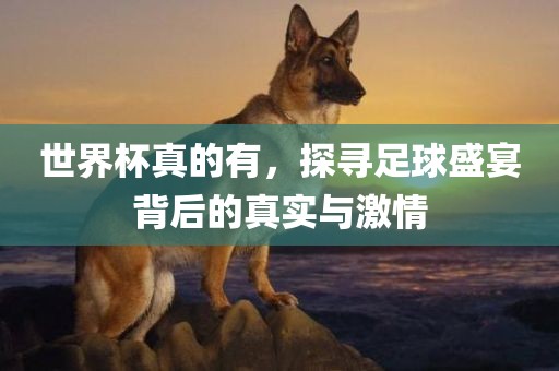 世界杯真的有，探寻足球盛宴背后的真实与激情漯河市盈旭机械设备有限公司