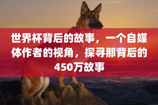 世界杯背后的故事，一个自媒体作者的视角，探寻那背后的450万故事