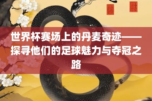 世界杯赛场上的丹麦奇迹——探寻他们的足球魅力与夺冠之路漯河市盈旭机械设备有限公司