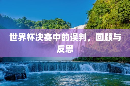 世界杯决赛中的误判，回顾与反思