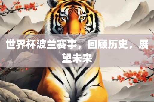 世界杯波兰赛事，回顾历史，展望未来