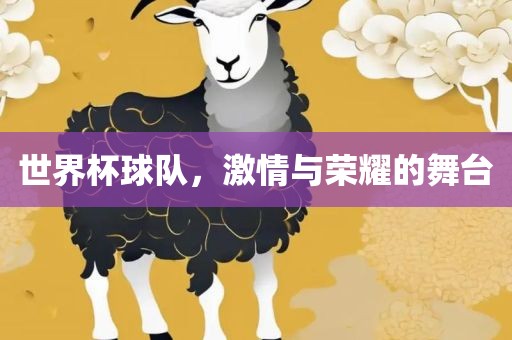 世界杯球队，激情与荣耀的舞台