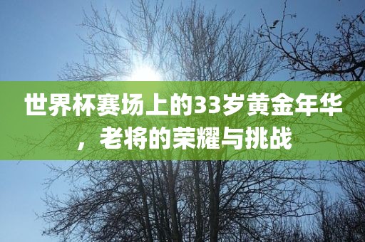 世界杯赛场上的33岁黄金年华，老将的荣耀与挑战漯河市盈旭机械设备有限公司