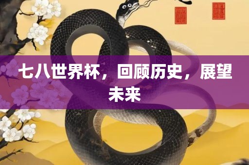 七八世界杯，回顾历史漯河市盈旭机械设备有限公司，展望未来