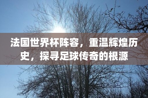 法国世界杯阵容，重温辉煌历史，探寻足球传奇的根源