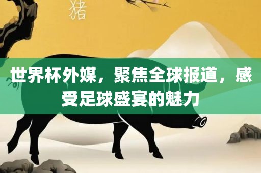 世界杯外媒，聚焦全球报道，感受足球盛宴的魅力漯河市盈旭机械设备有限公司