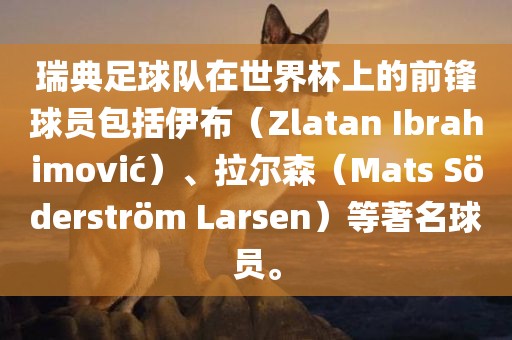 瑞典足球队在世界杯上的前锋球员包括伊布（Zlatan Ibrahimovi?）、拉尔森（Mats S?derstr?m Larse漯河市盈旭机械设备有限公司n）等著名球员。