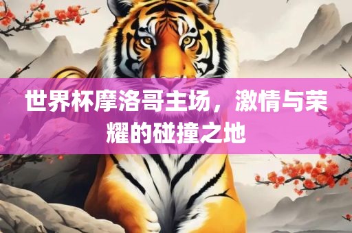 世界杯摩洛哥主场，激情与荣耀的碰撞之地