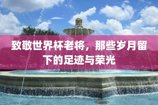 致敬世界杯老将，那些岁月留下的足迹漯河市盈旭机械设备有限公司与荣光