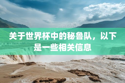 关于世界杯中的秘鲁队，以下是一些相关信息