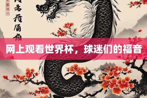 网上观看世界杯，球迷们的福音