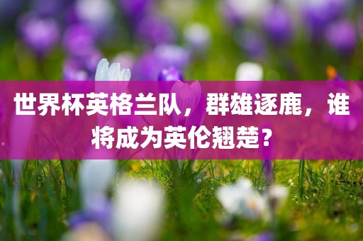 世界杯英格兰队，群雄逐鹿，谁将成为英伦翘楚？