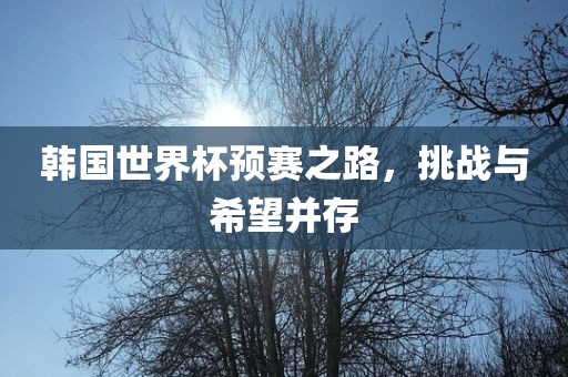 韩国世界杯预赛之路，挑战与希望并存
