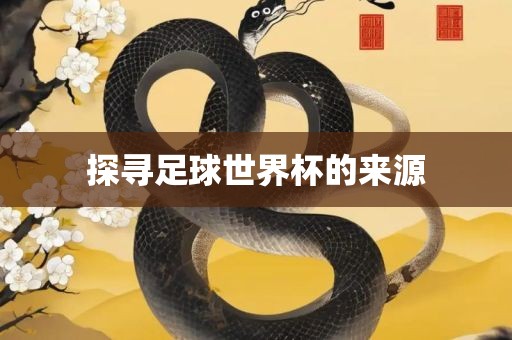 探寻足球世界杯的来源漯河市盈旭机械设备有限公司