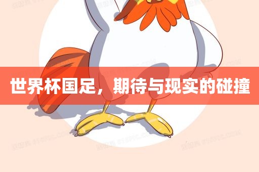 世界杯国足，期待与现实的碰撞