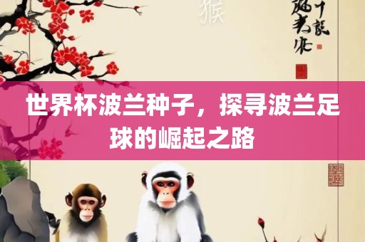世界杯波兰种子，探寻波兰足球的崛起之路