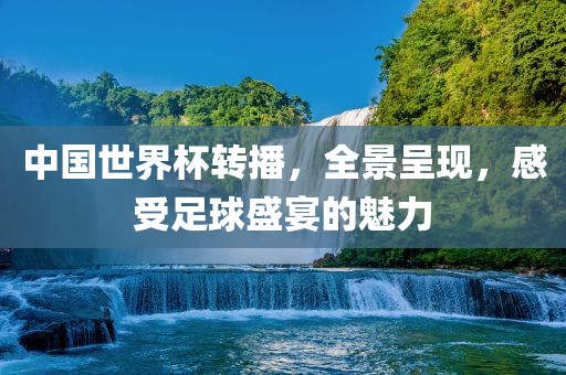 中国世界杯转播，全景呈现，感受足球盛宴的魅力