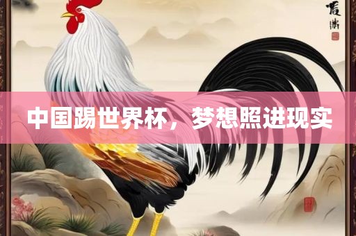 中国踢世界杯，梦想照进现实