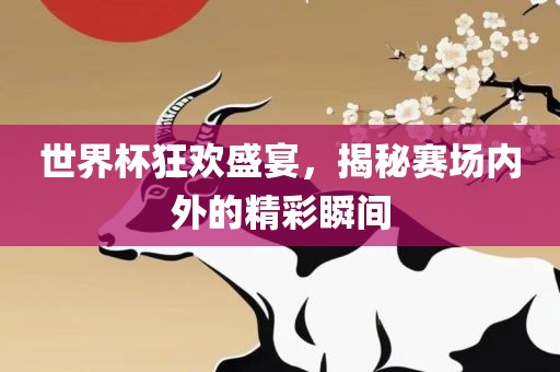 世界杯狂欢盛宴，揭秘赛场内外的精彩瞬间