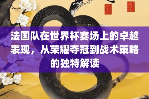 法国队在世界杯赛场上的卓越表现，从荣耀夺冠到战术策略的独特解读